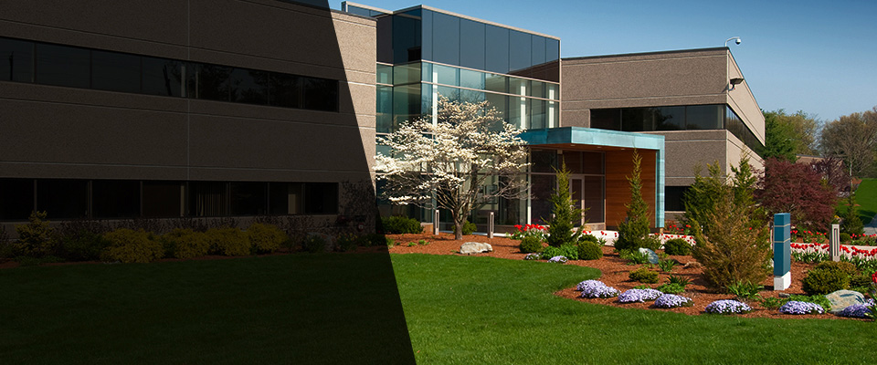 Saint Anthony Landscapers