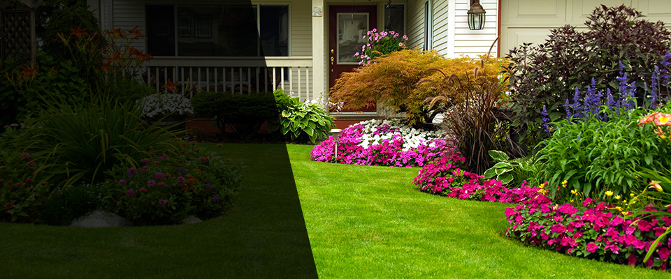 Saint Anthony Landscapers