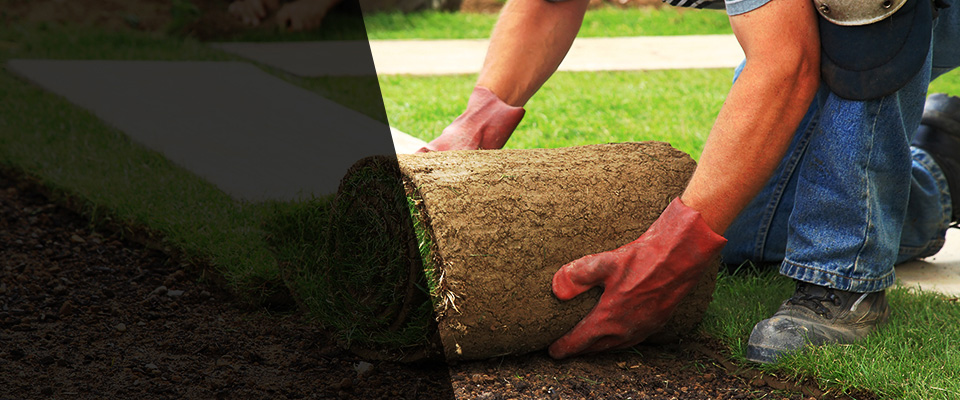 Saint Anthony Landscapers